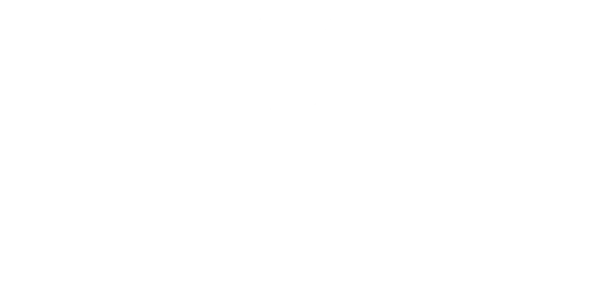 Logo NextCFO